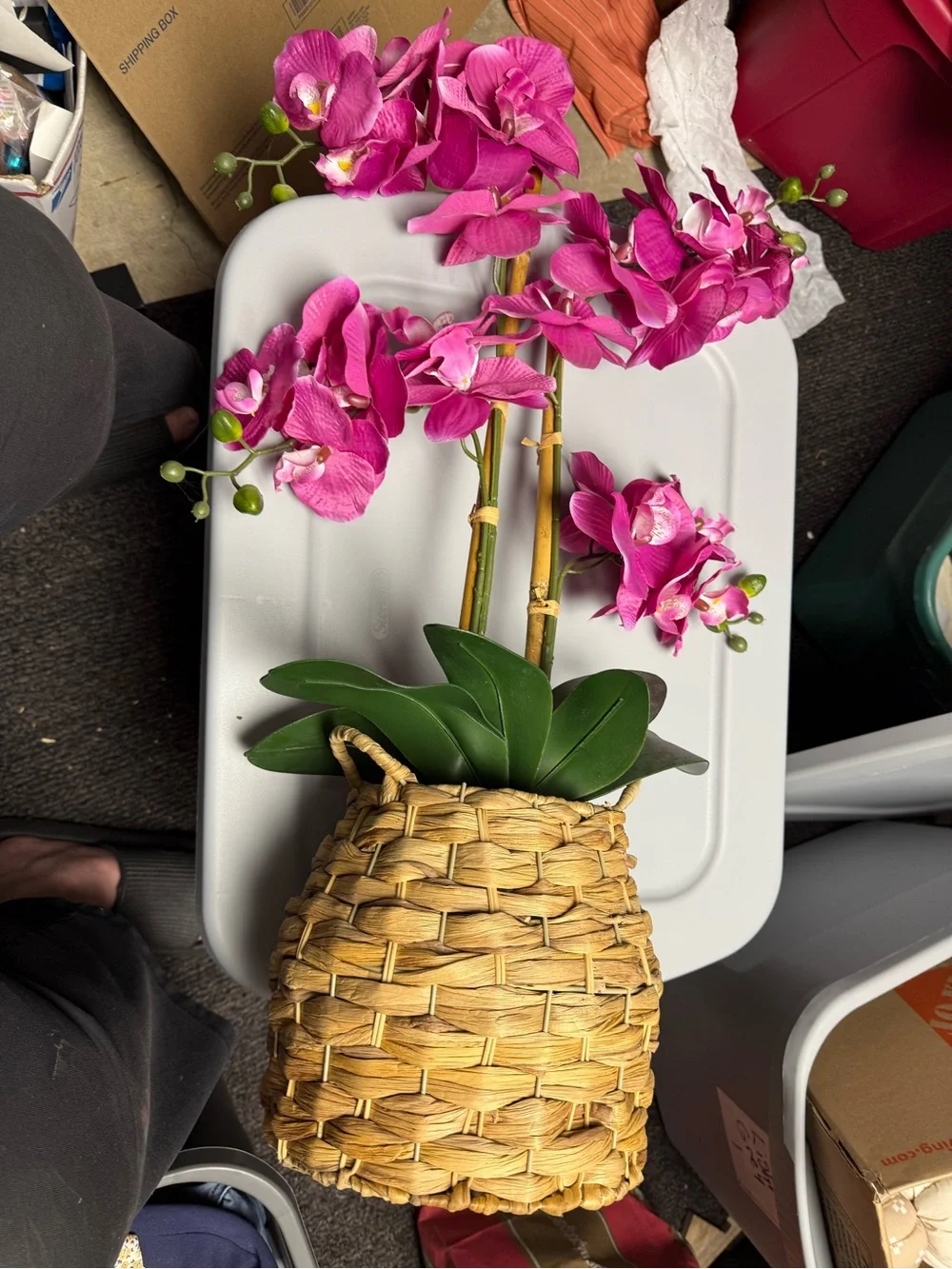 Beautiful faux orchid plant